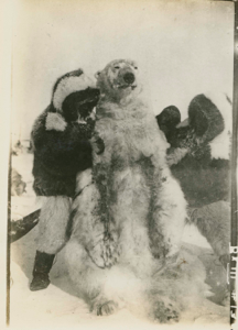Image of Polar Bear held up by two Eskimos [Inuit]